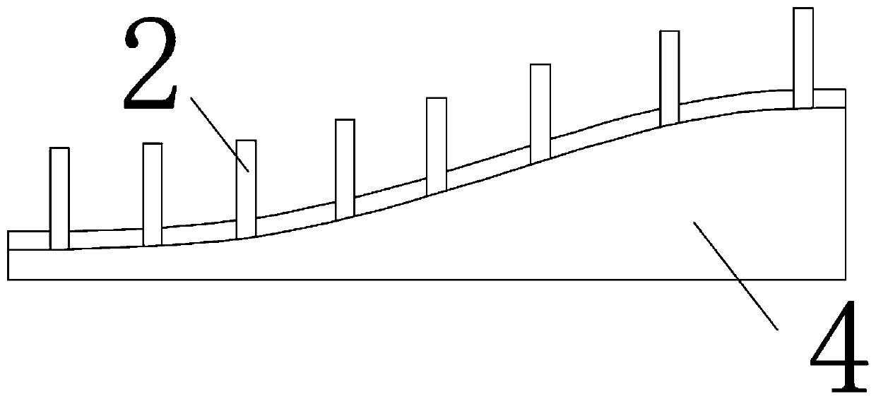 Tire carrying system