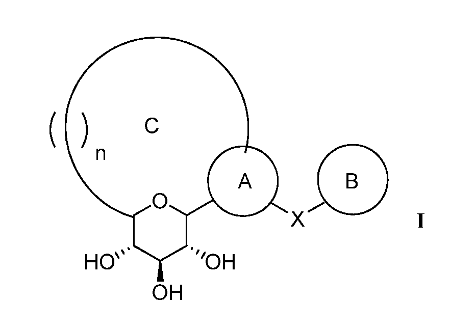 C-aryl ansa SGLT2 inhibitors