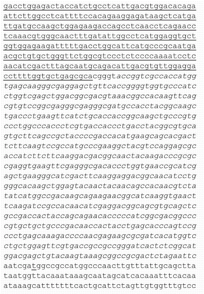 Variant of BPIFB4 protein