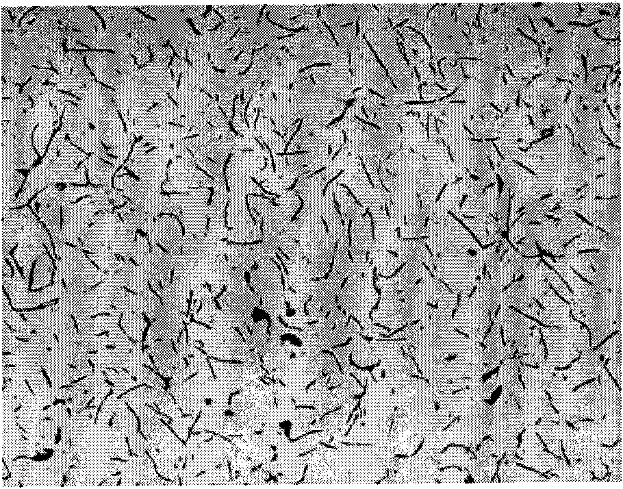 High-hardenability alloyed gray iron die material and preparation method thereof