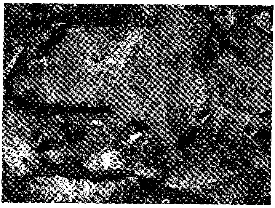 High-hardenability alloyed gray iron die material and preparation method thereof