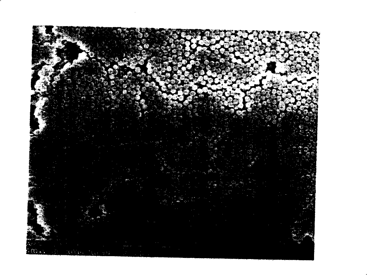 Preparation method of molecular engram silicon oxide nanometer particle with sensing molecule identification to TNT