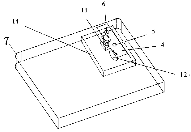 Lung cancer tumor marker detection device and method based on micro-fluidic chip and mobile phone