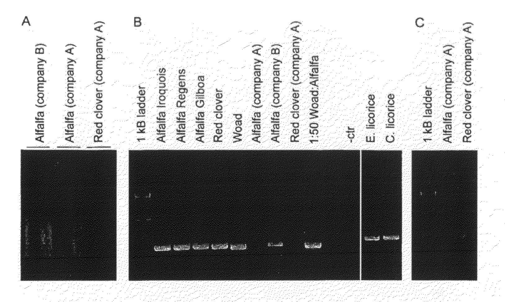 Use of pcr-based techniques to analyze compositions of botanicals