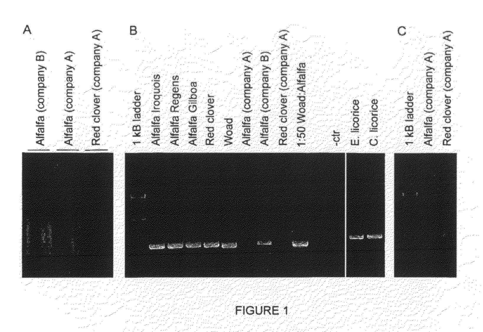 Use of pcr-based techniques to analyze compositions of botanicals