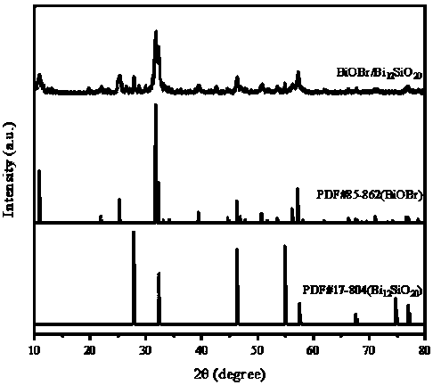 Electrochemical preparation method of BiOBr/Bi12SiO20 composite film photocatalyst and application of BiOBr/Bi12SiO20 composite film photocatalyst