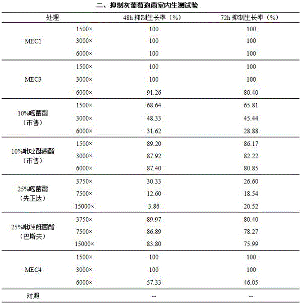 A kind of fungicide composition and its application