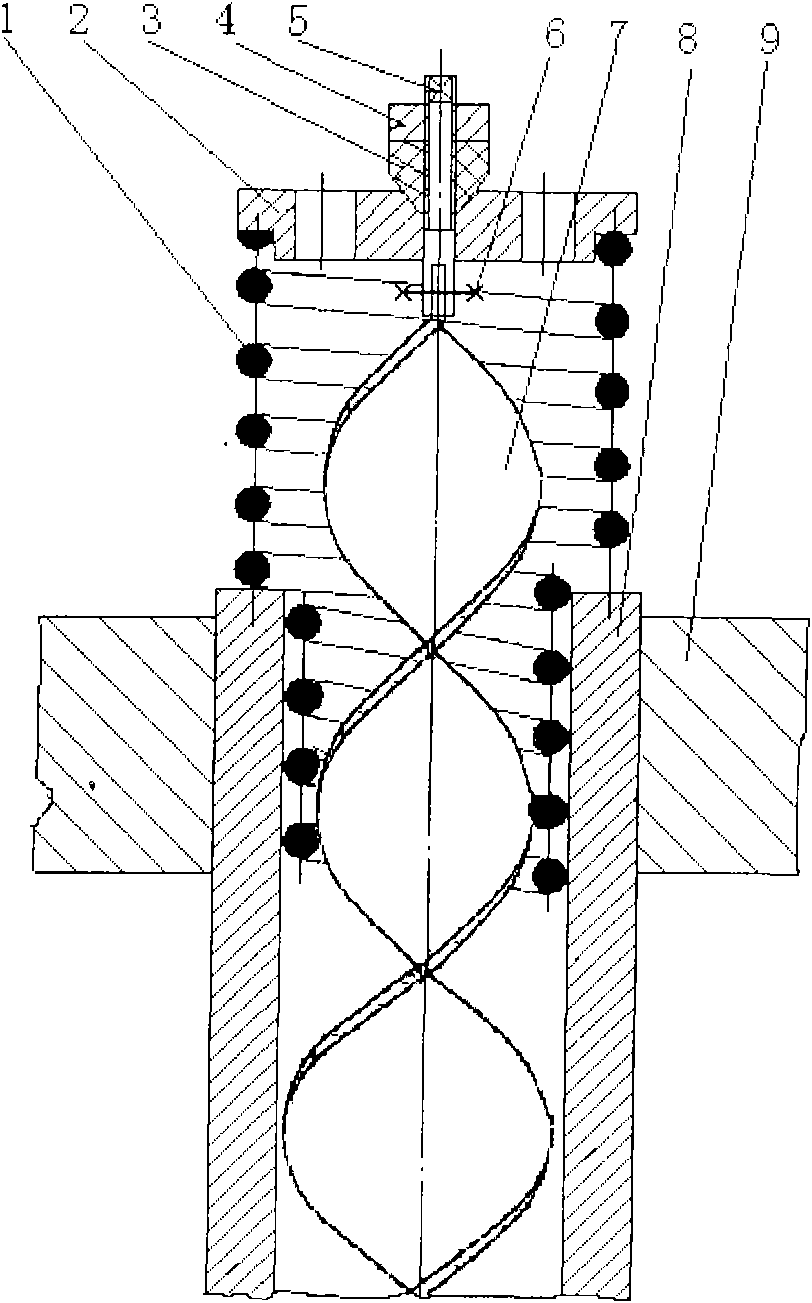 Double-diameter spring type heat transfer pipe insert orifice fixing device