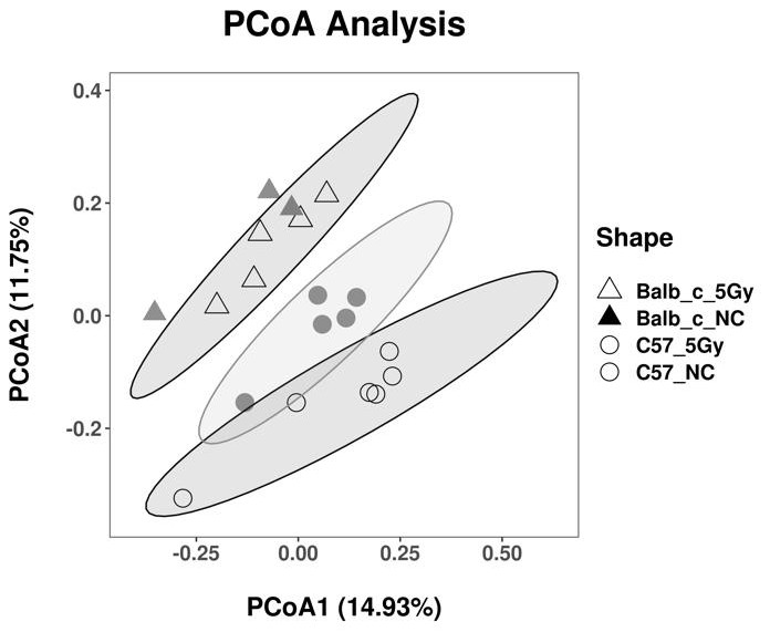 Biomarker for detection or auxiliary detection of proton ray radiation, kit and detection method and application of biomarker