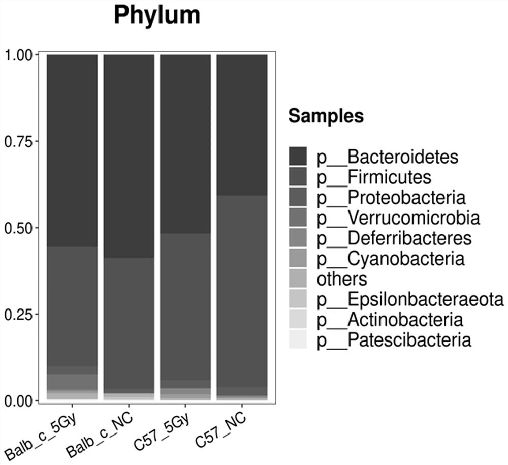 Biomarker for detection or auxiliary detection of proton ray radiation, kit and detection method and application of biomarker