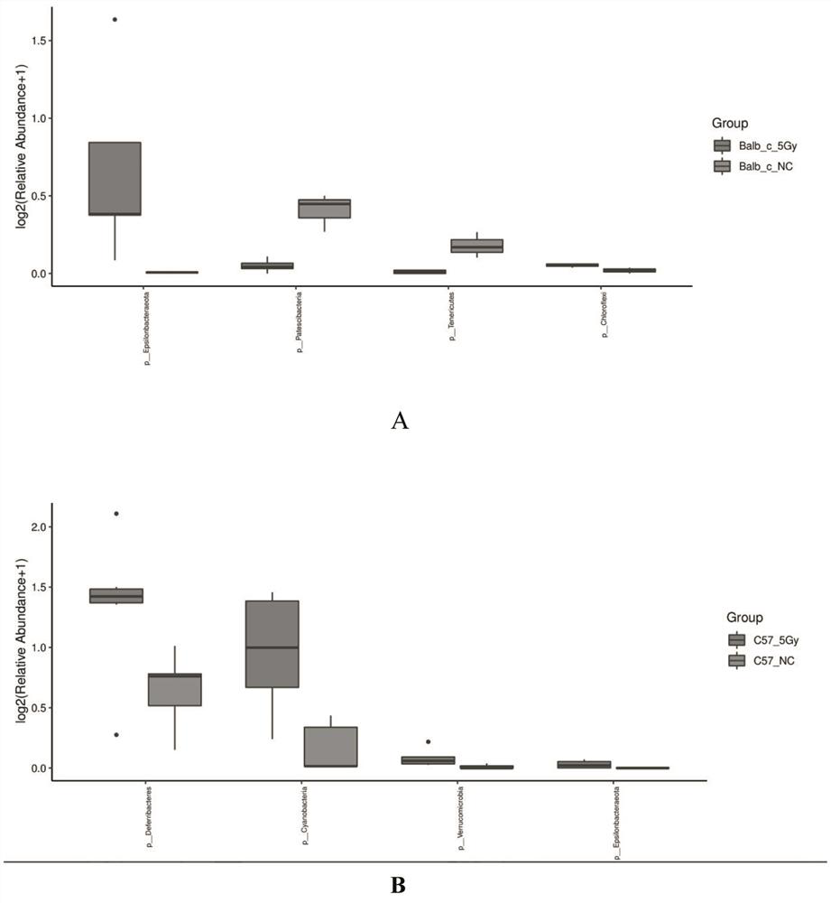 Biomarker for detection or auxiliary detection of proton ray radiation, kit and detection method and application of biomarker