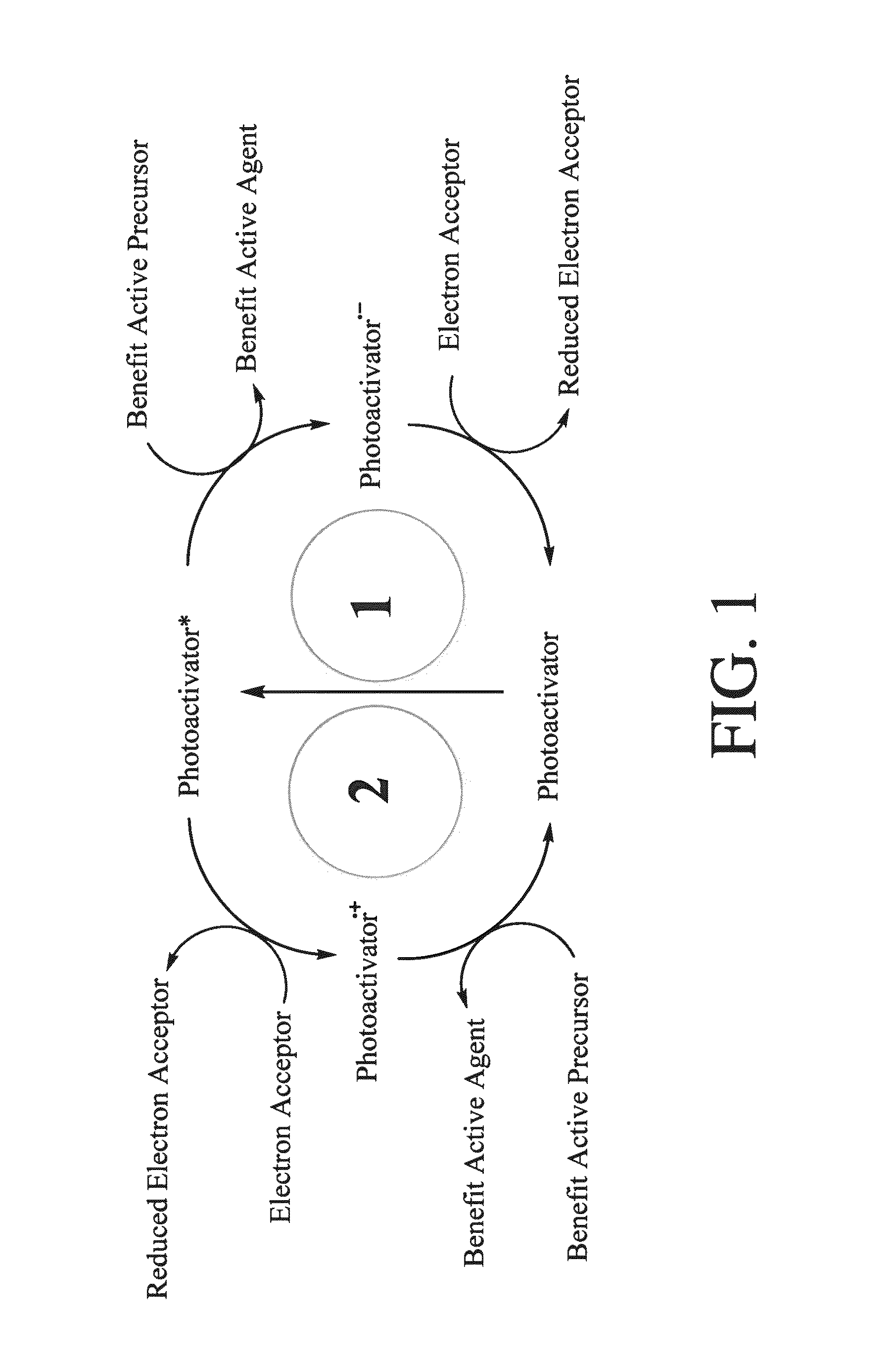 Systems and Methods for Treating a Surface