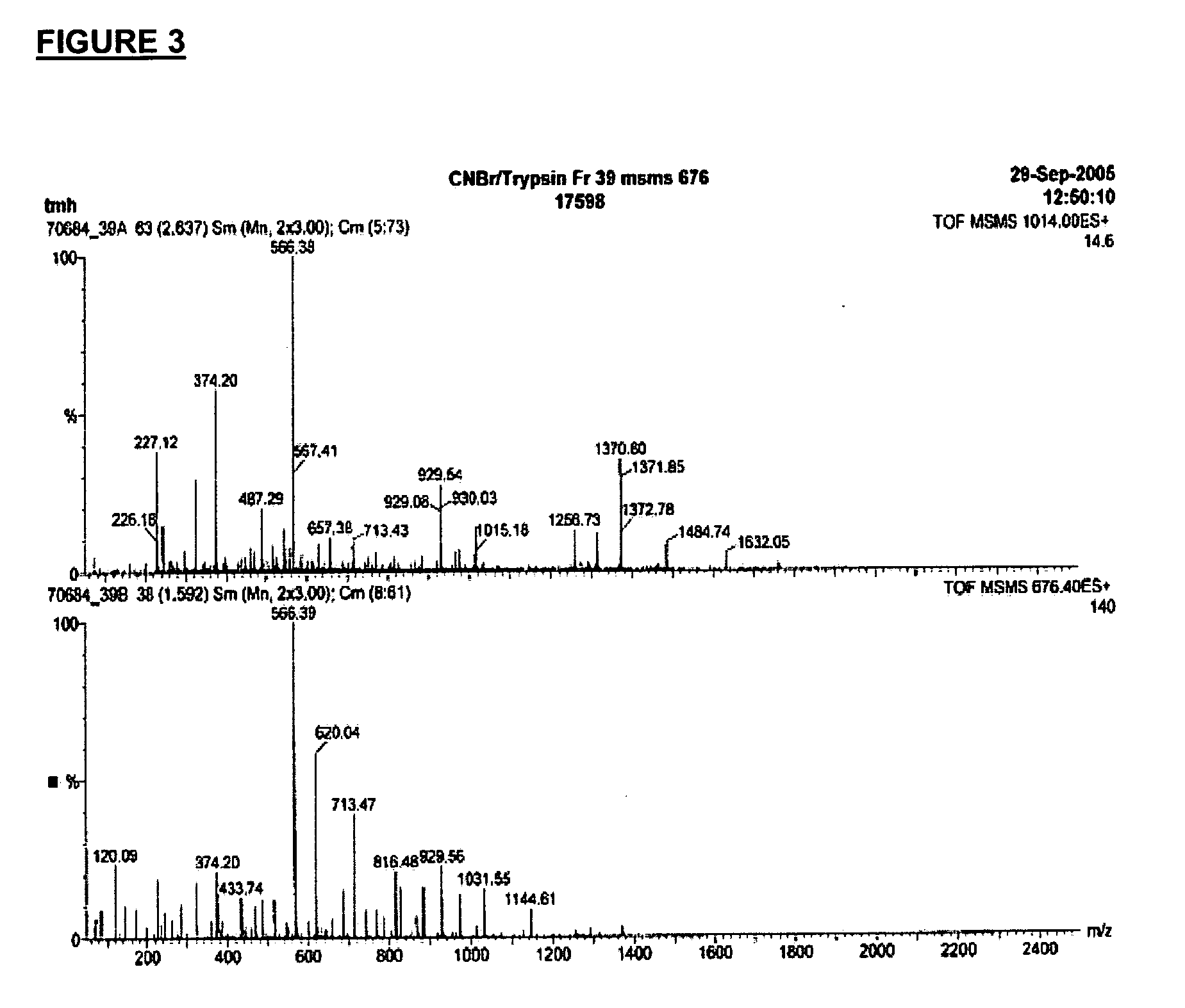 Transgenic animals producing monovalent human antibodies and antibodies obtainable from these animals