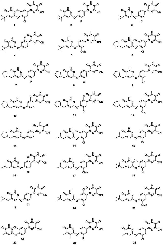 Substituted pyridazinones and uses thereof