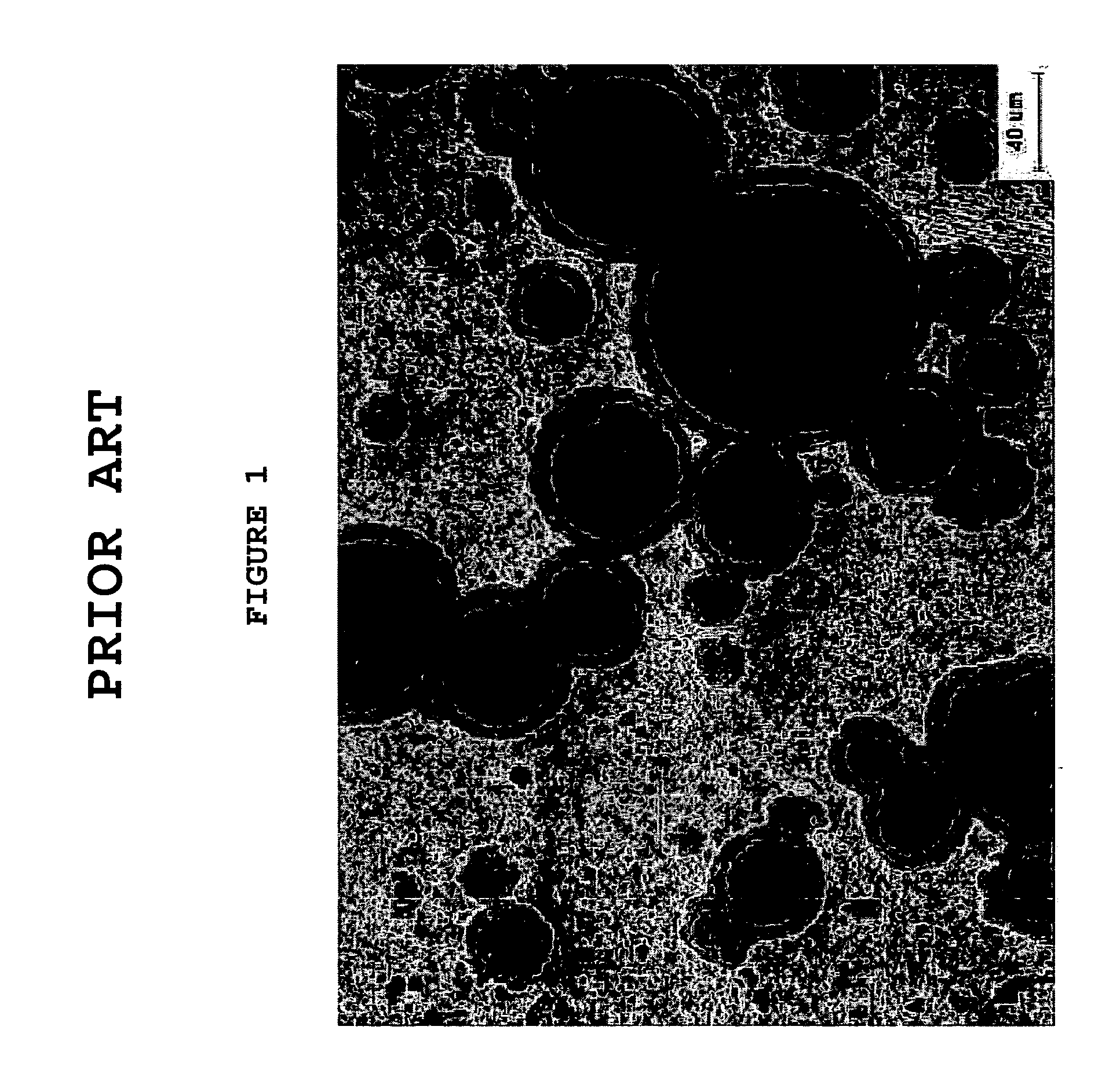Plate-type nuclear fuels having regularly arranged coarse spherical particles of U-Mo- or U-Mo-X alloy and fabrication method thereof