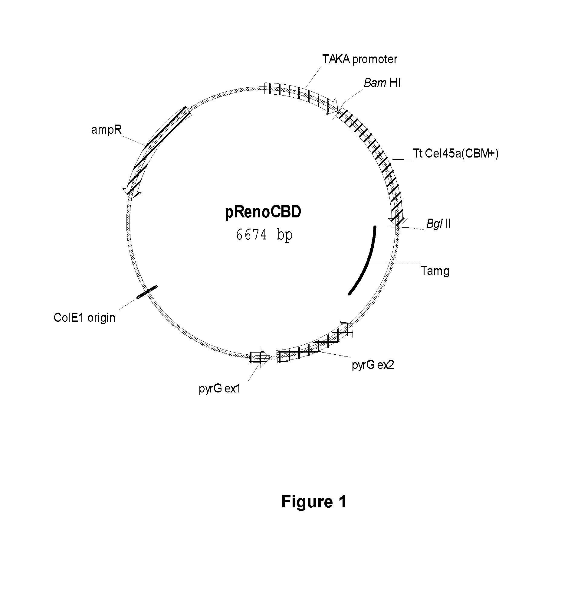 Method for treating textile with endoglucanase