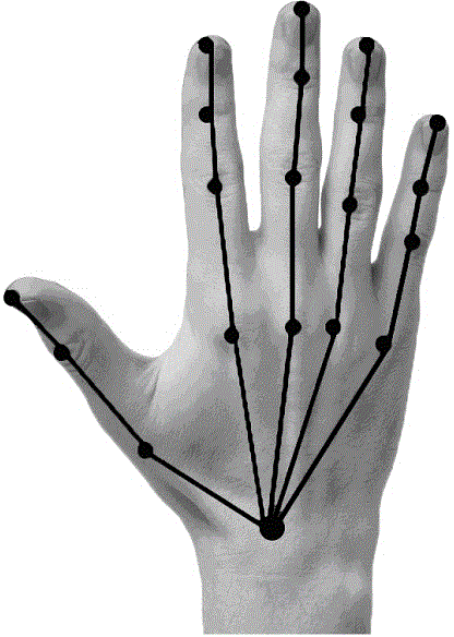 Hand rehabilitation training evaluation system and method based on motion capture