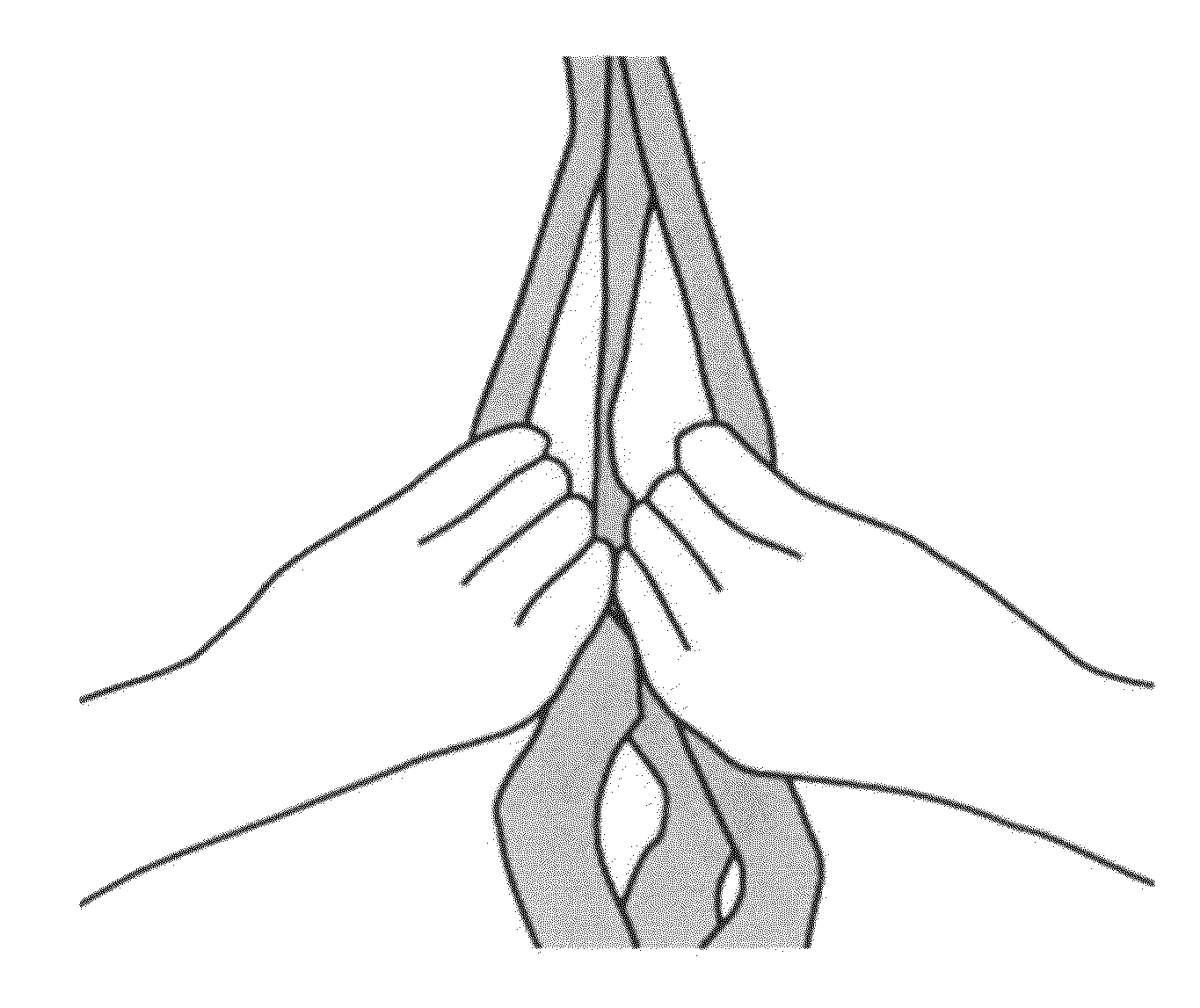 Muscle stretching apparatus and method