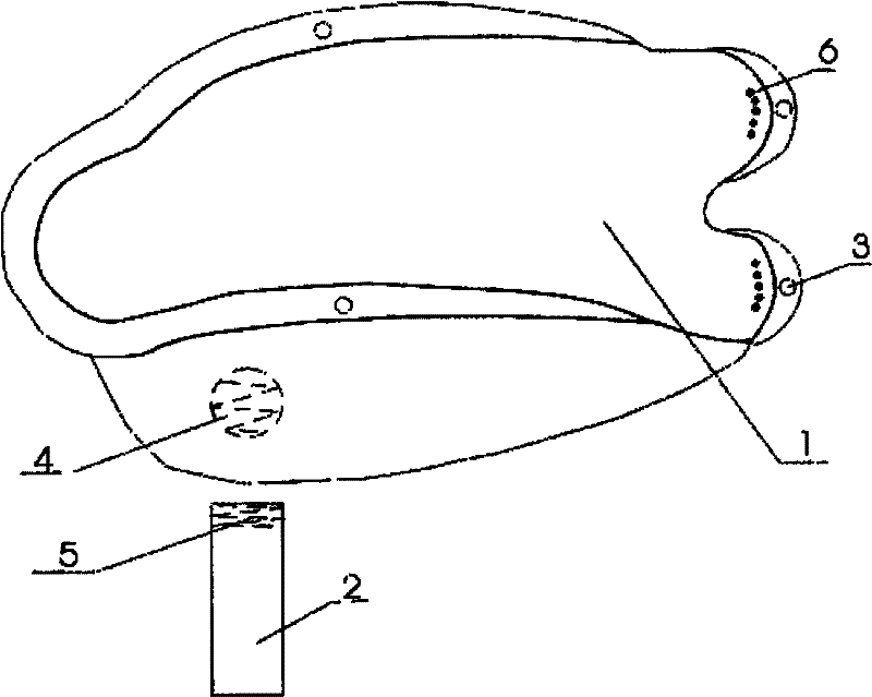 Fish shaped saliva collector