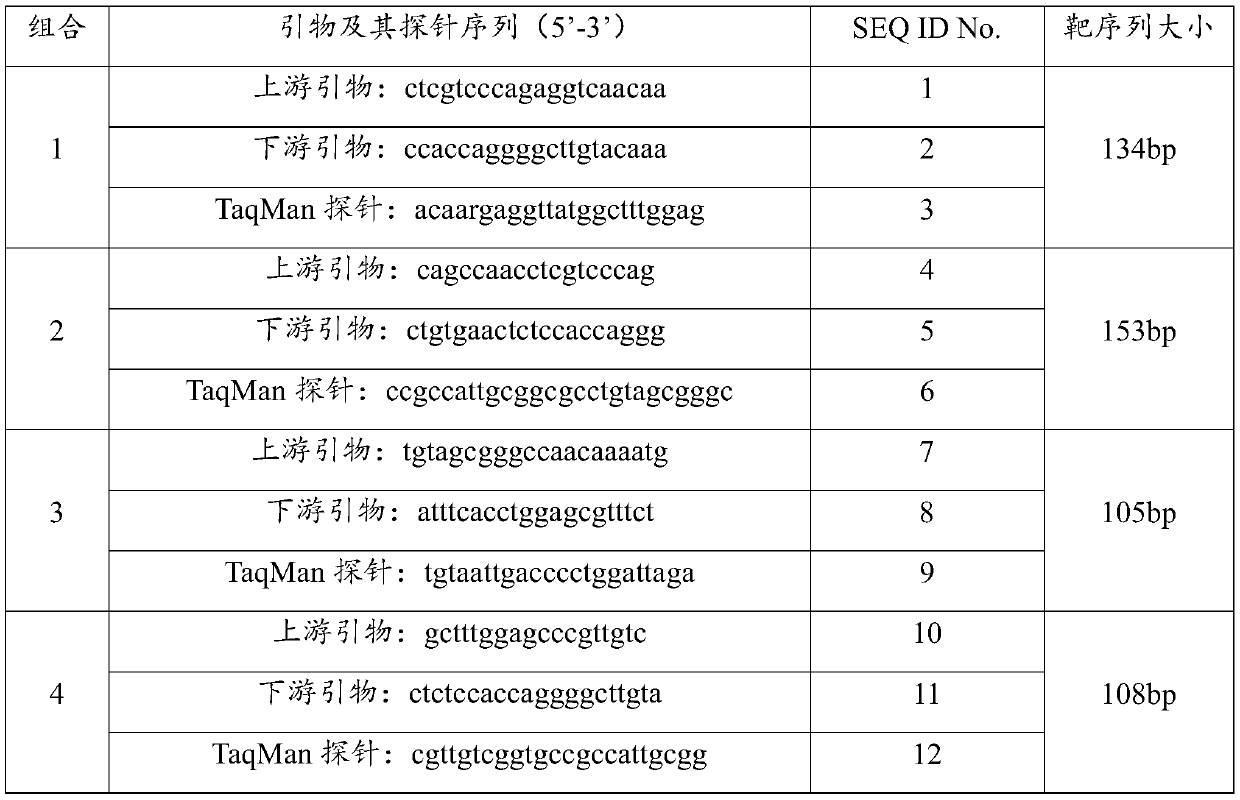 Method for detecting GII type norovirus in marine food