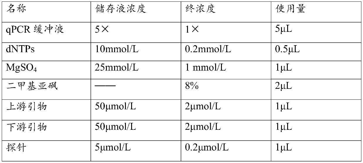 Method for detecting GII type norovirus in marine food