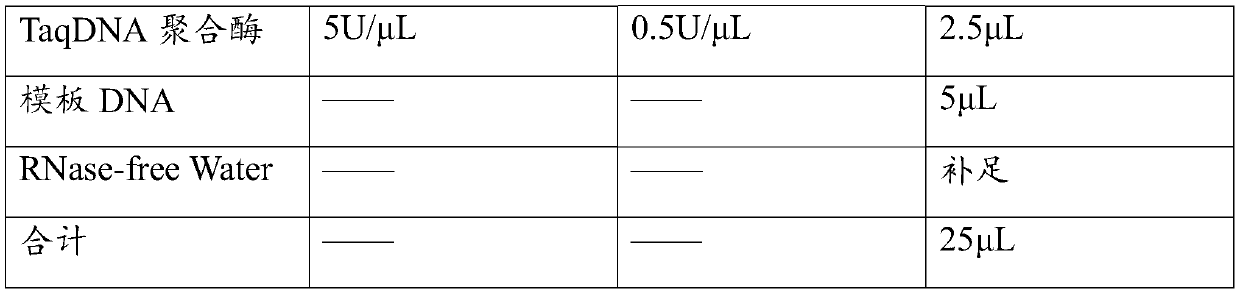 Method for detecting GII type norovirus in marine food