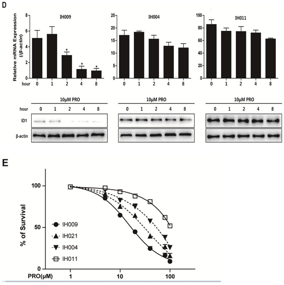 A product for evaluating the effect of propranolol in the treatment of infantile hemangioma