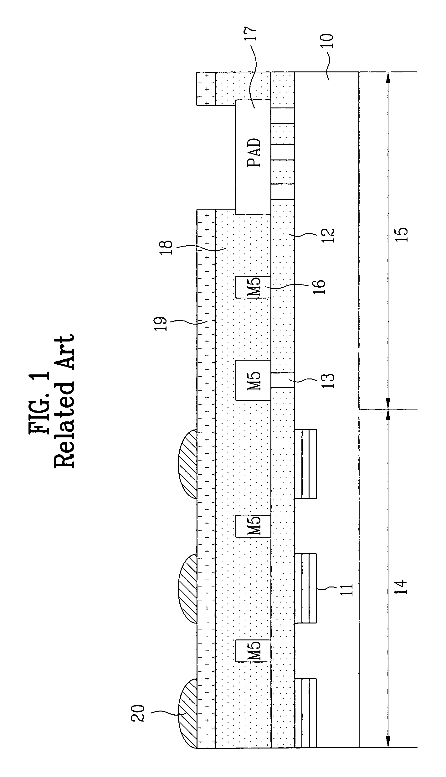 CMOS image sensor having photodiode and method for manufacturing the same