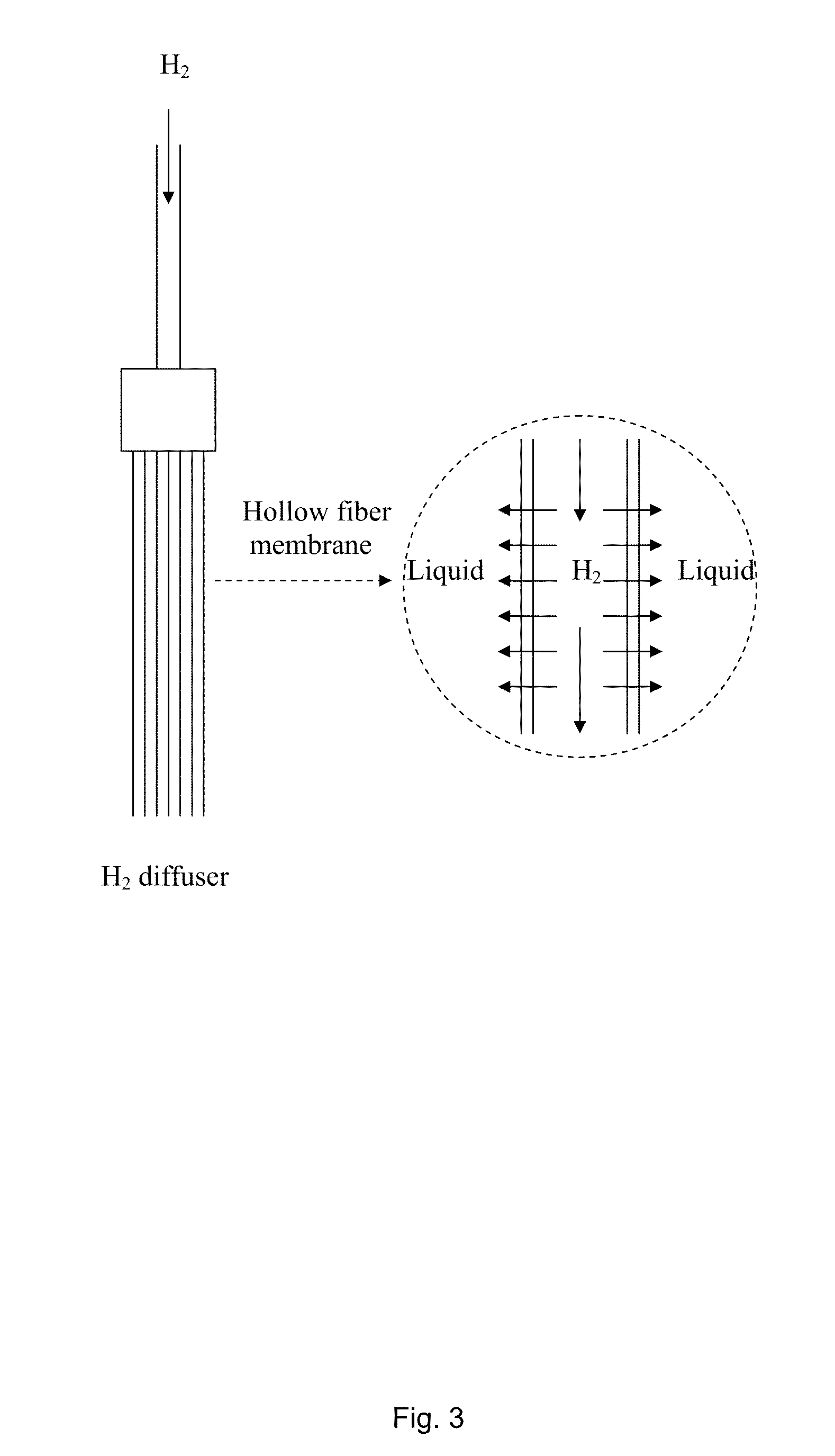 Methods and Apparatus for Hydrogen Based Biogas Upgrading