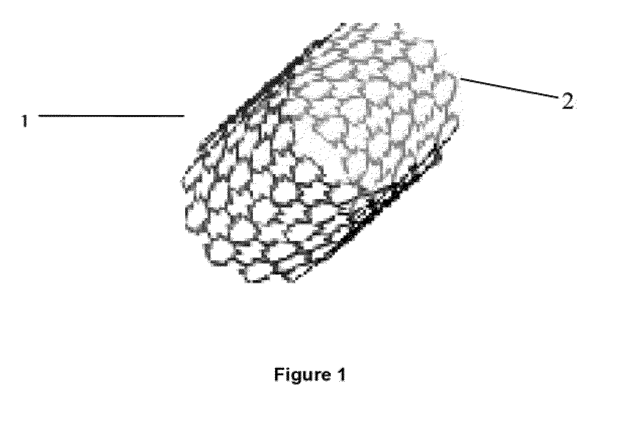Biodegradable stent formed with polymer-bioceramic nanoparticle composite and method of making the same