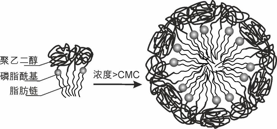 A kind of polyethylene glycol derivative and its preparation method and application