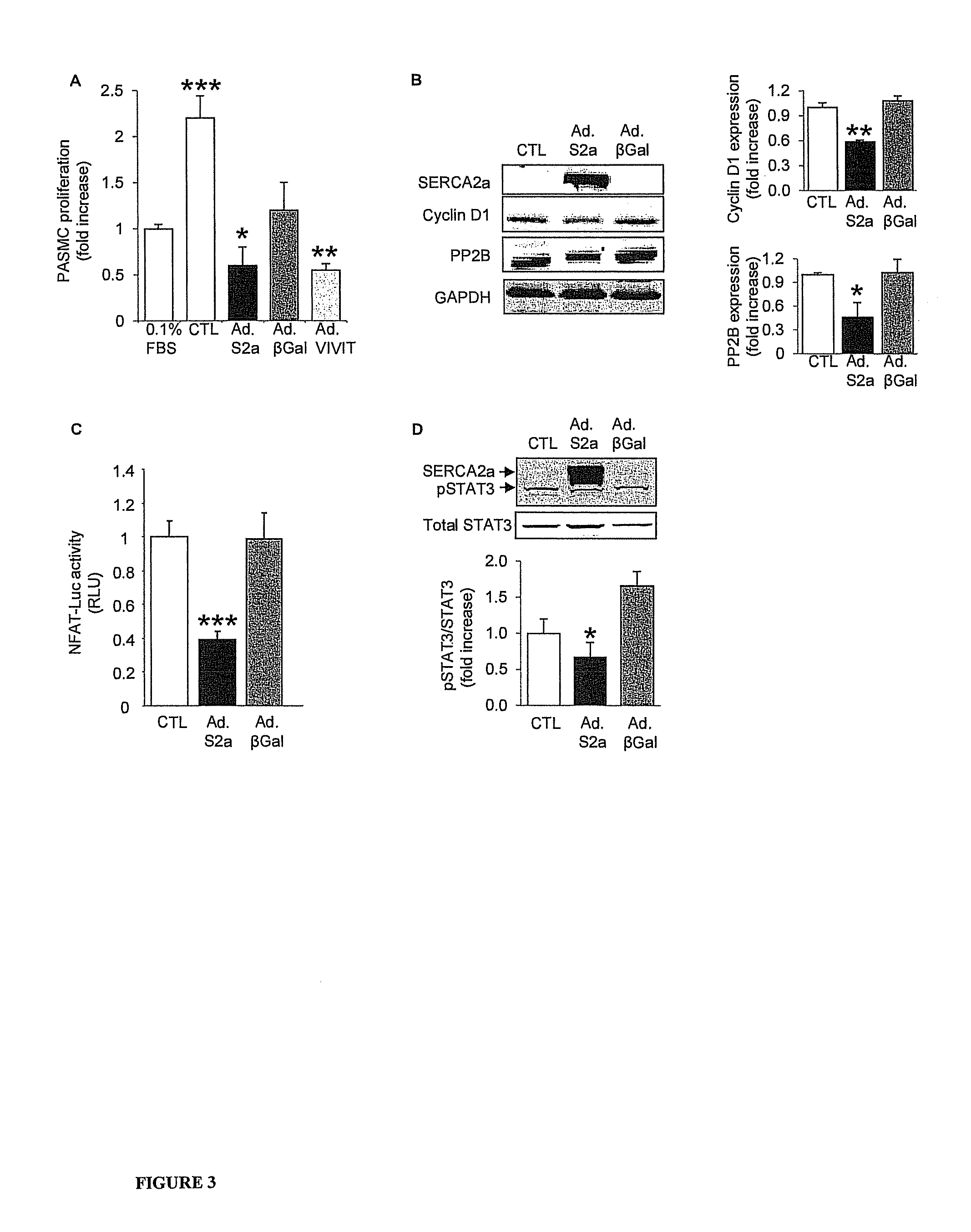 Serca2 therapeutic compositions and methods of use