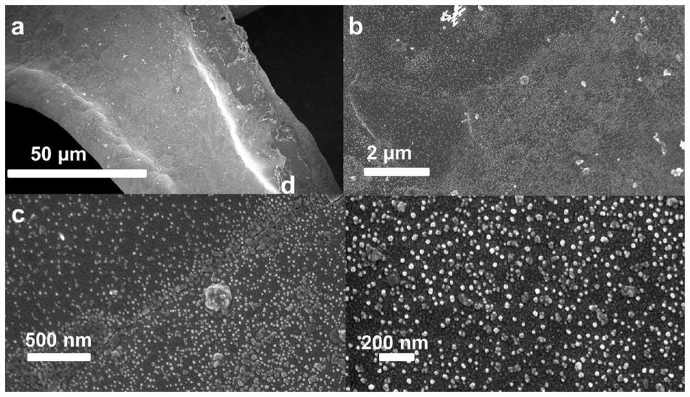 cu  <sub>3</sub> pt copper mesh-lithium metal electrode and its preparation method and lithium battery preparation method