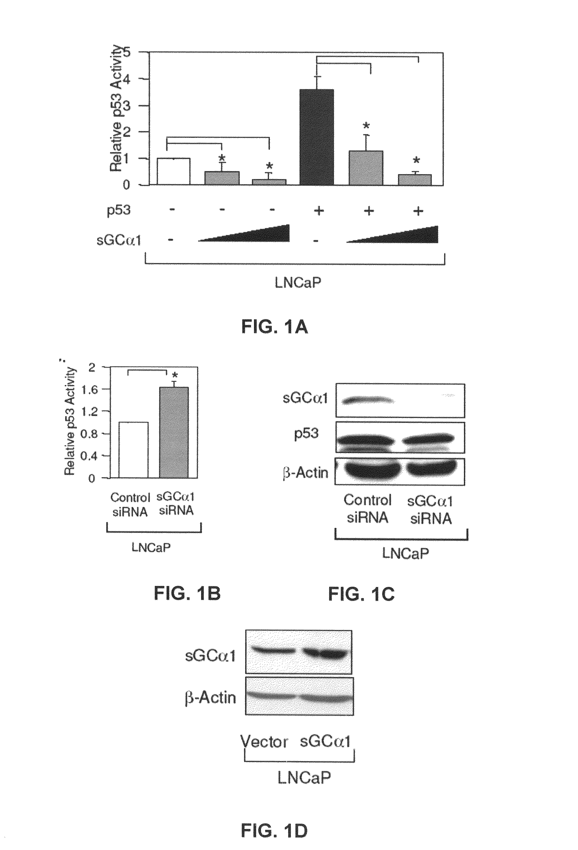 sGCalphal inhibiting compositions