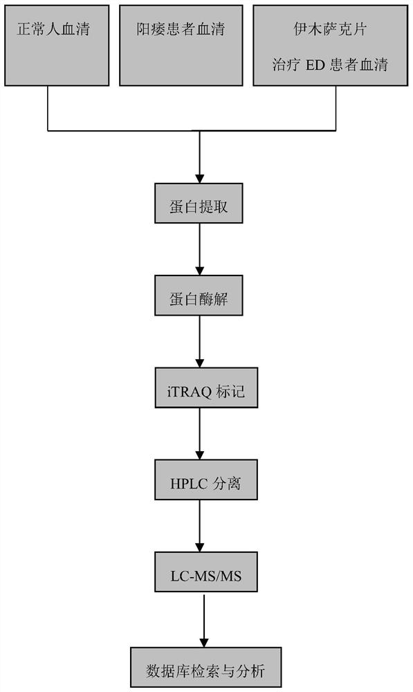 Yimusak Tablet Acting on Erectile Dysfunction Human Serum Differential Protein Combination and Its Screening Method and Application