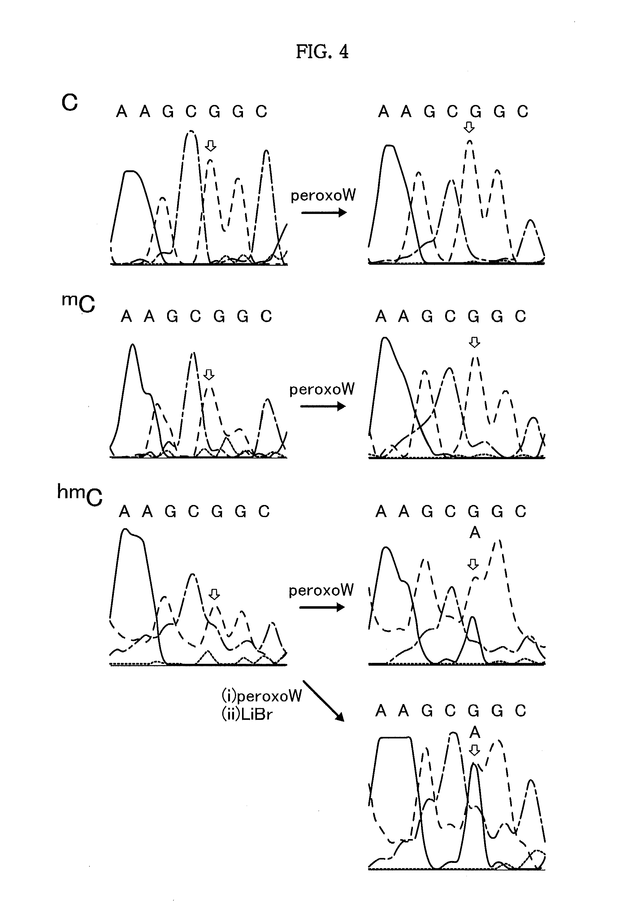 Method and kit for detecting 5-hydroxymethylcytosine in nucleic acids