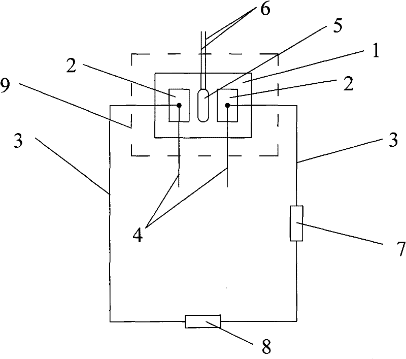 Freezing temperature sensor and measuring method thereof