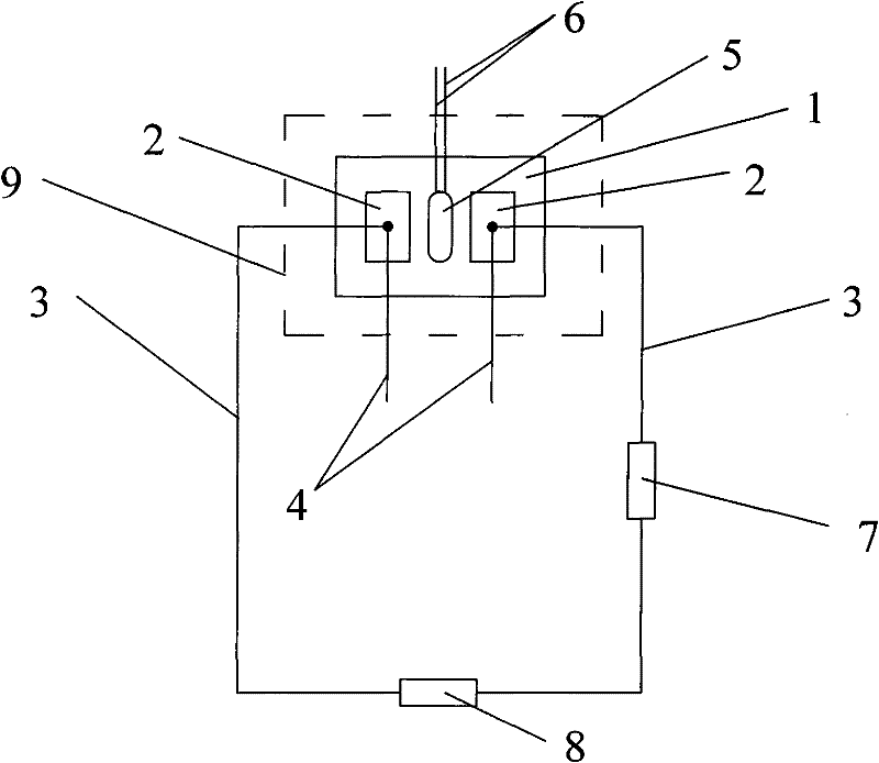 Freezing temperature sensor and measuring method thereof