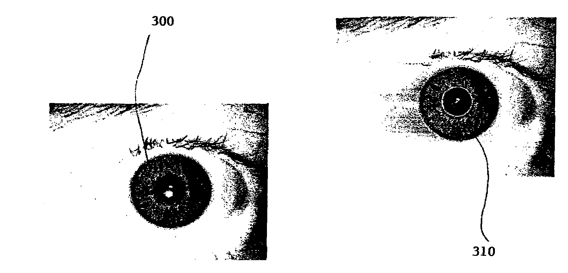 Methods and systems for biometric identification