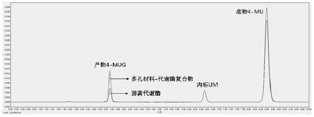 Method for preparing drug metabolic enzyme-porous material compound and application