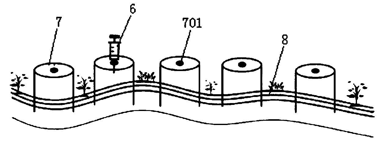 Field environment nitrogen fixation activity ARA determination method and device