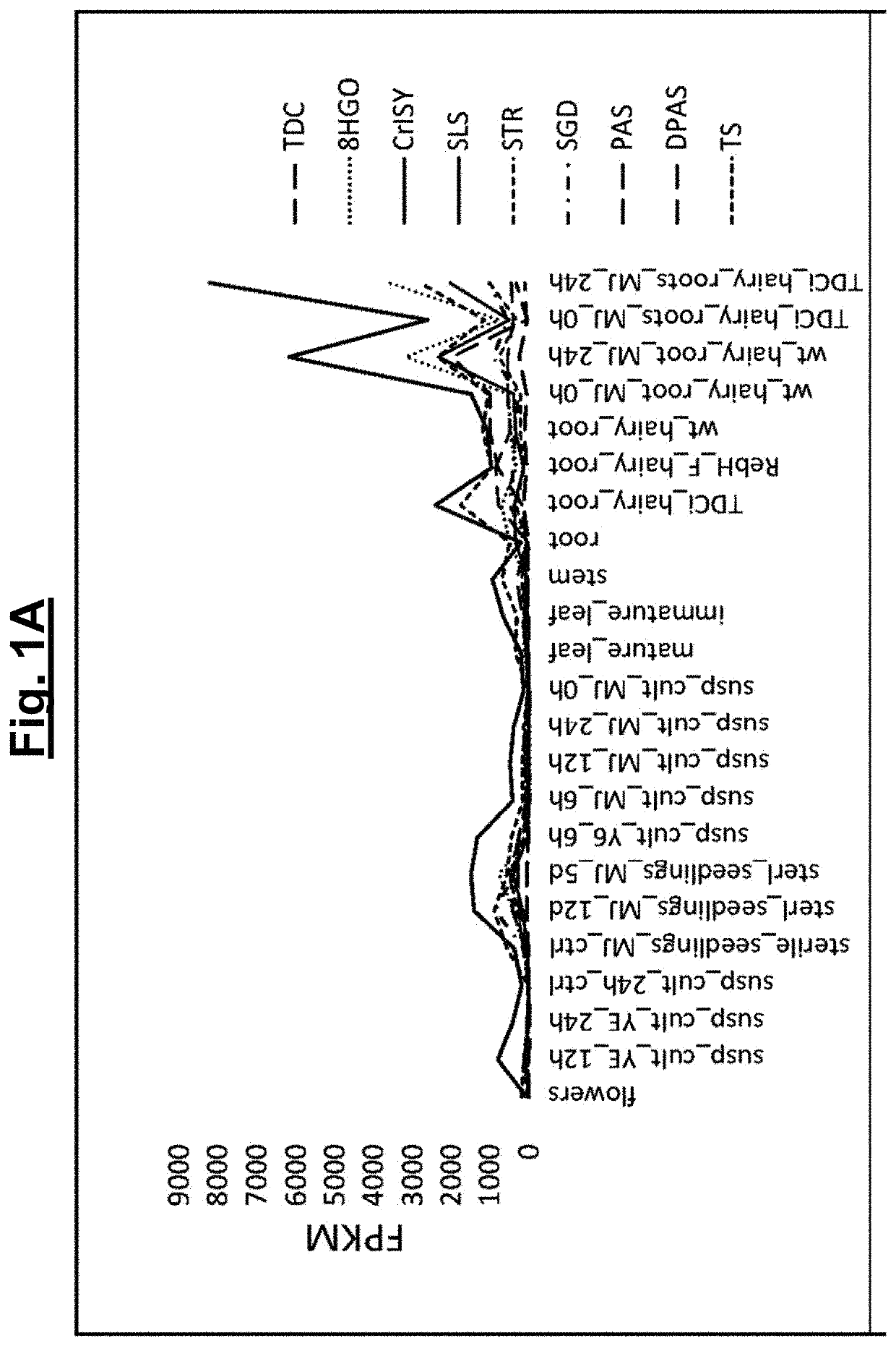 Method and means for manufacturing terpene indole alkaloids