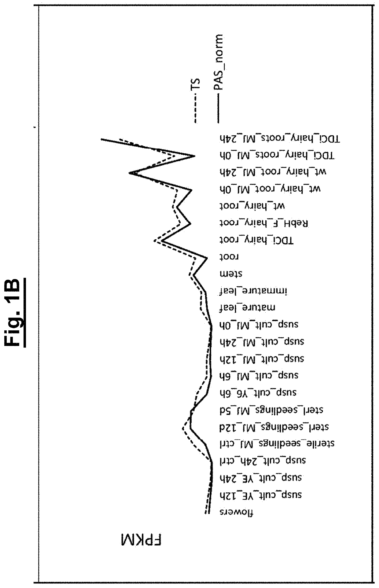 Method and means for manufacturing terpene indole alkaloids