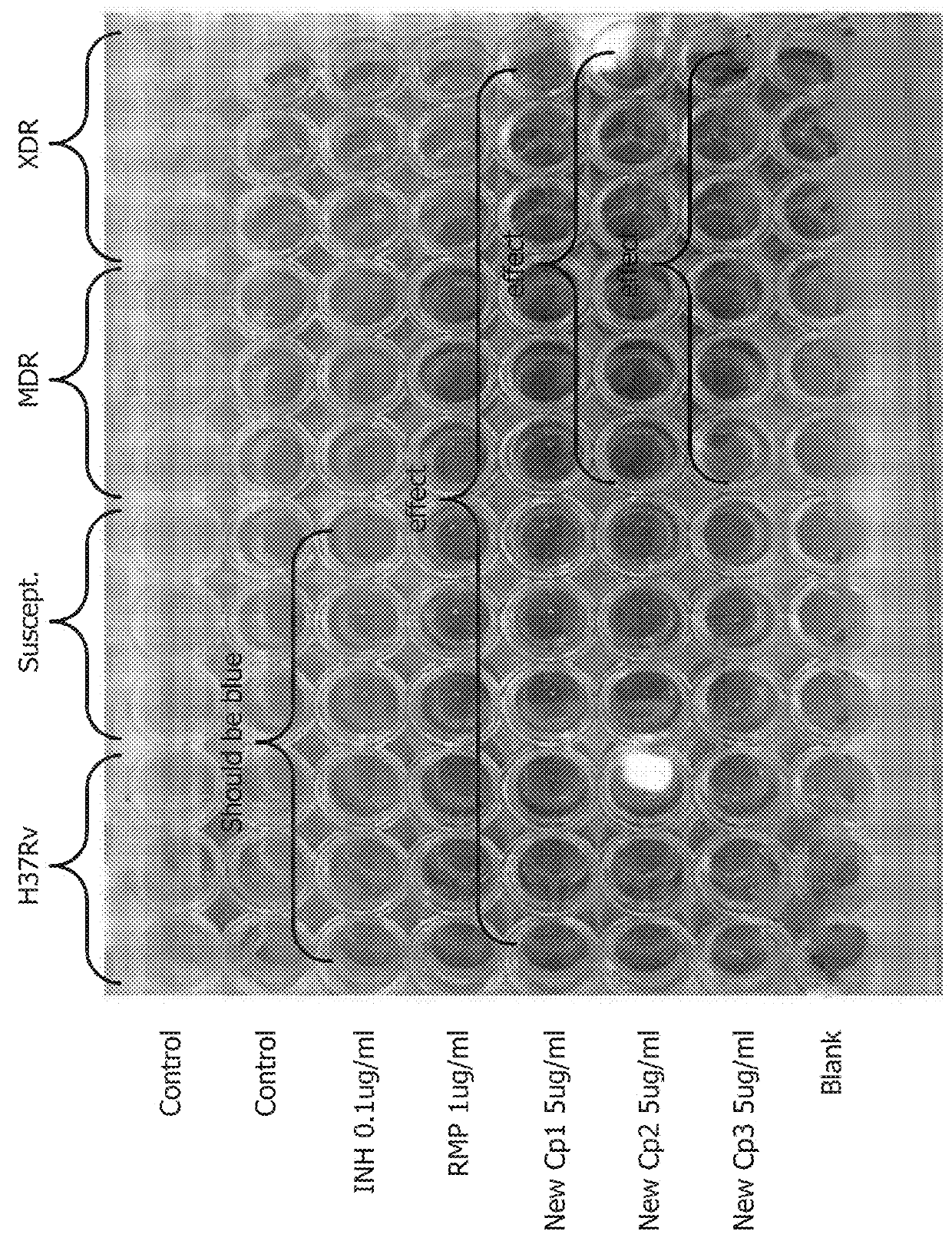 Compositions and methods for treating tuberculosis