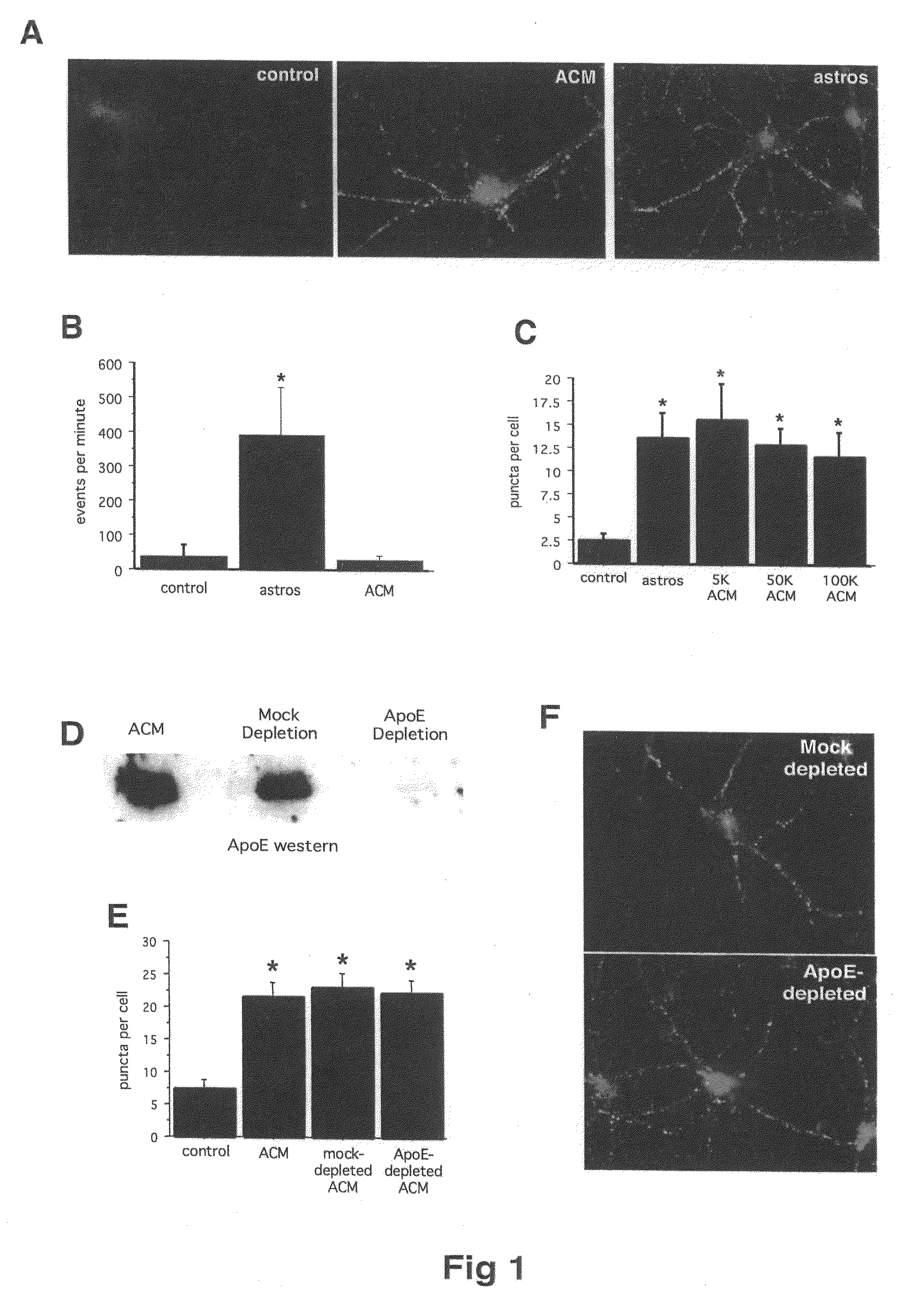 Modulation of synaptogenesis