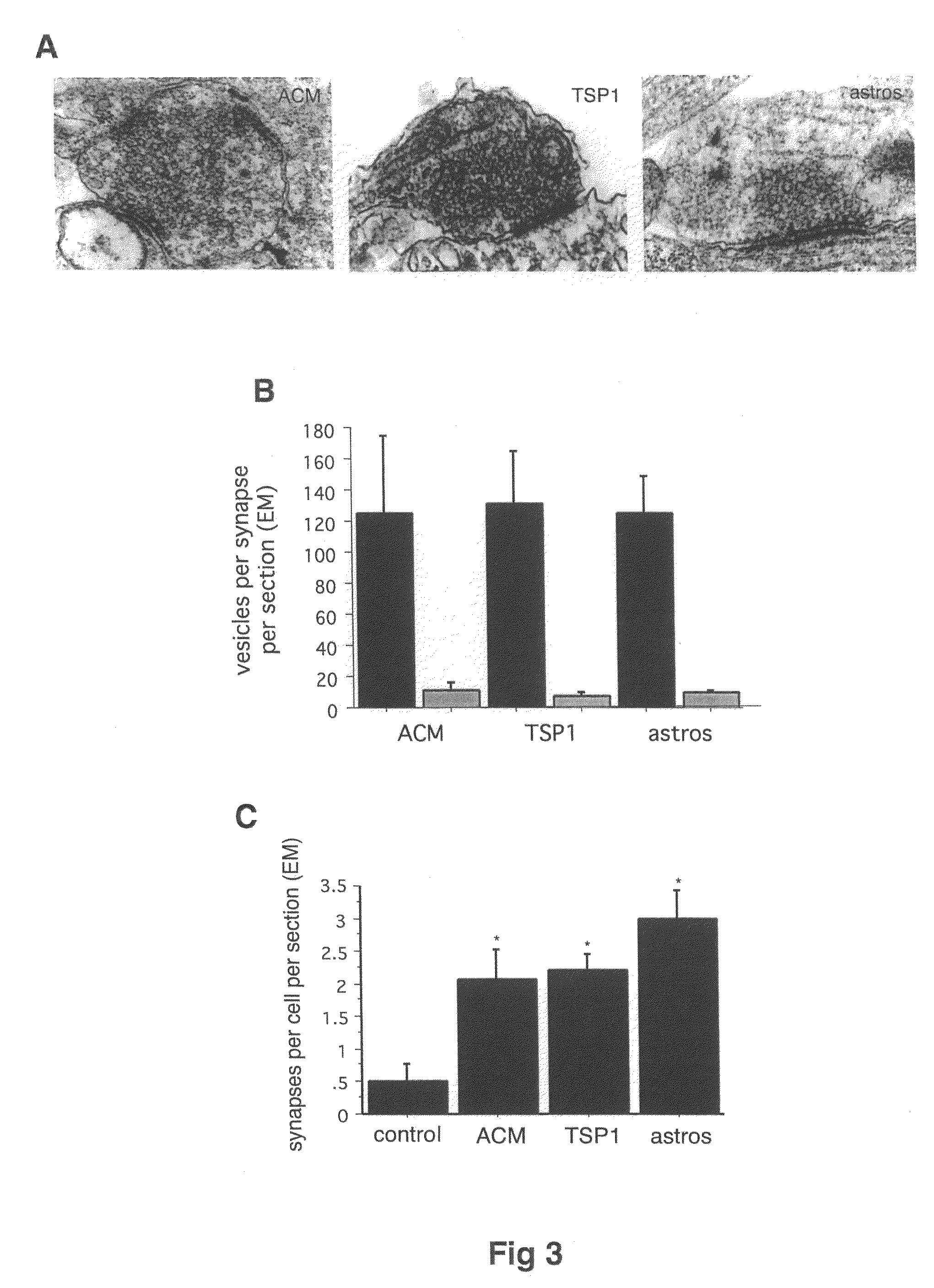 Modulation of synaptogenesis