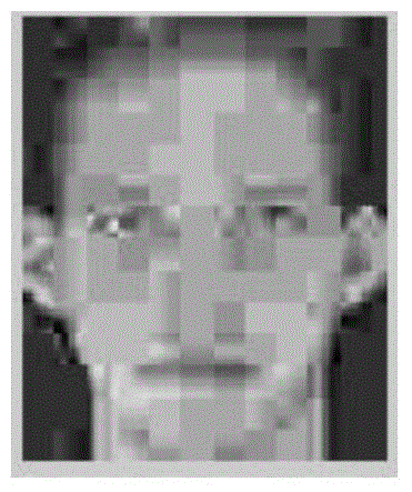 Anti-light face recognition method based on transform domain robust watermark under big data