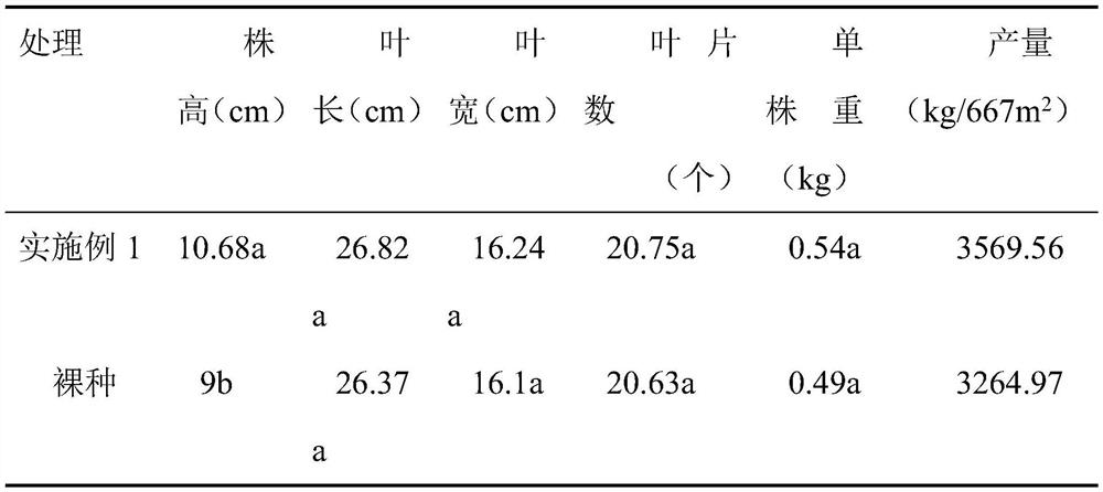 Pelletization formula and processing method of brassica campestris seeds