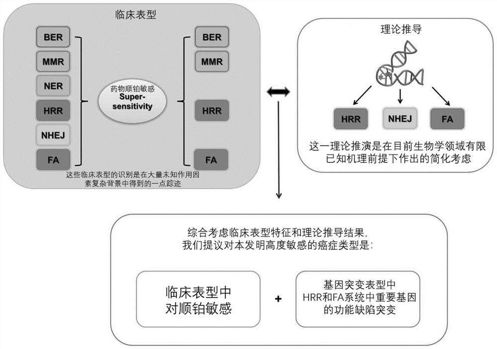 Anti-cancer composition, combination product and preparation method and application of anti-cancer composition