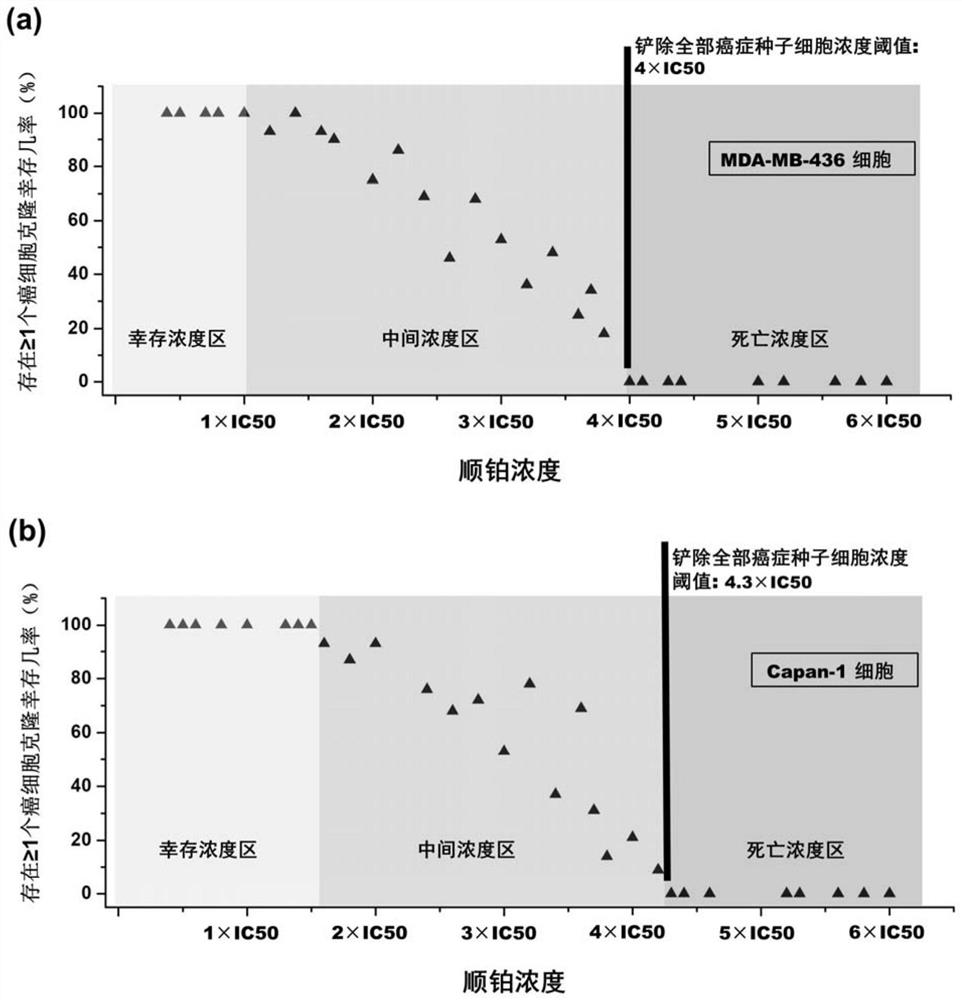 Anti-cancer composition, combination product and preparation method and application of anti-cancer composition